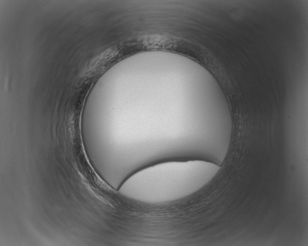 X0000085810690200703161029