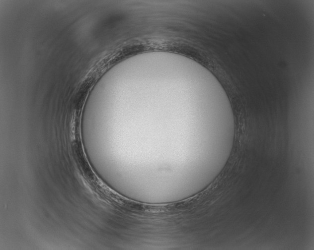 X0000085810694200703161029