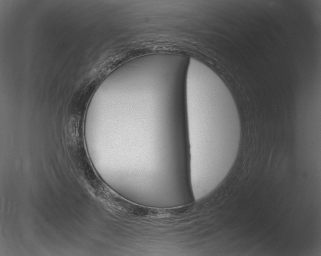 X0000085810695200703161029
