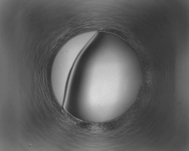 X0000085810697200703161029
