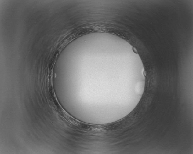 X0000085810702200703161029