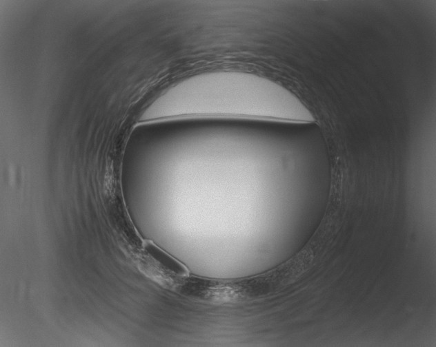 X0000085810704200703161029