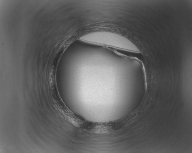 X0000085810708200703161029