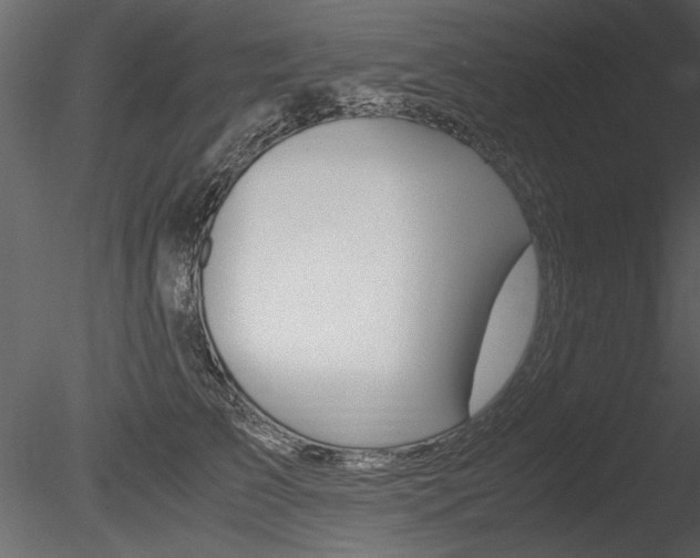 X0000085810709200703161029