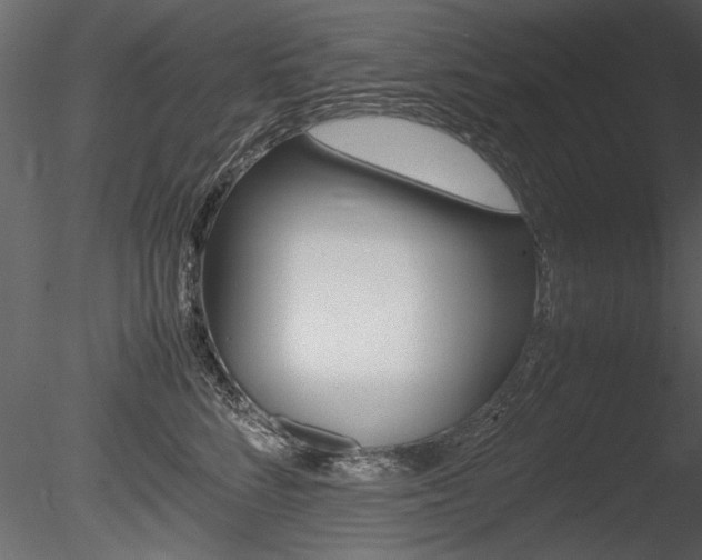 X0000085810712200703161029