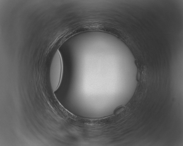 X0000085810739200703161028