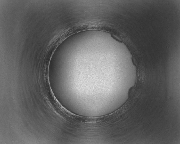 X0000085810740200703161028