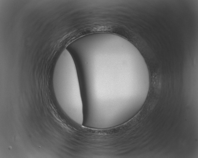 X0000085810741200703161028