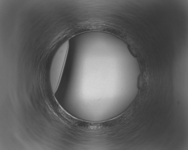 X0000085810744200703161028