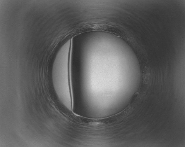 X0000085810748200703161028