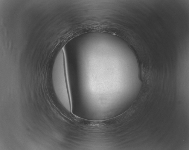 X0000085810752200703161028