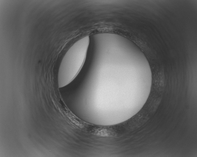 X0000085810755200703161028