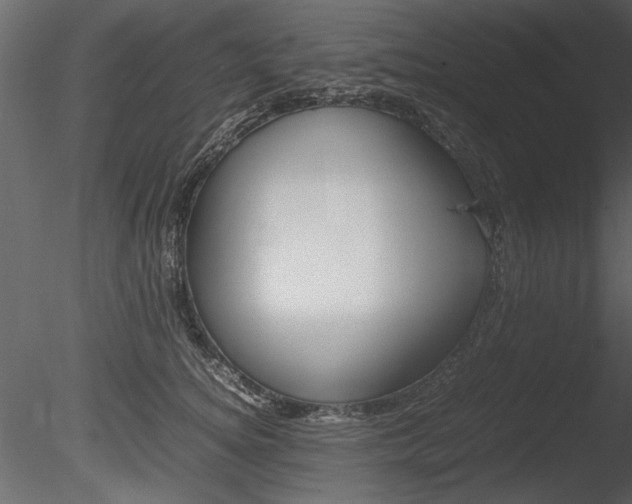 X0000085810756200703161028