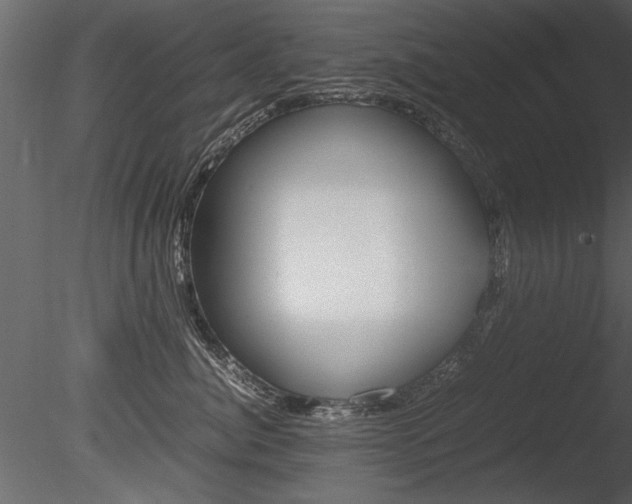 X0000085810764200703161029