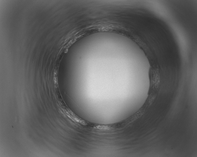X0000085810766200703161029
