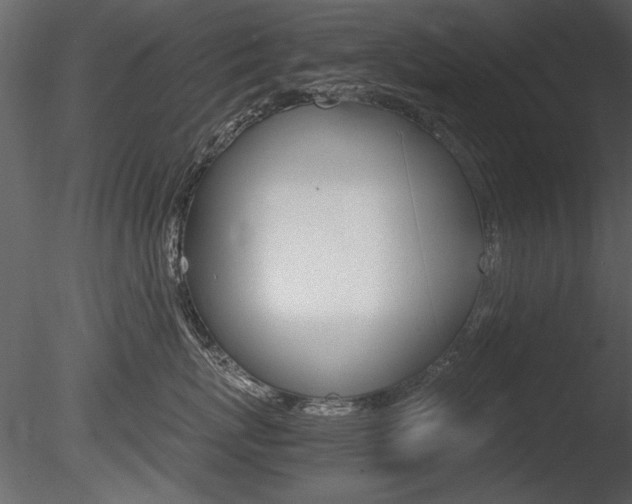 X0000085810767200703161029