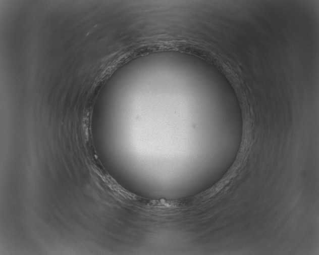 X0000085810768200703161029