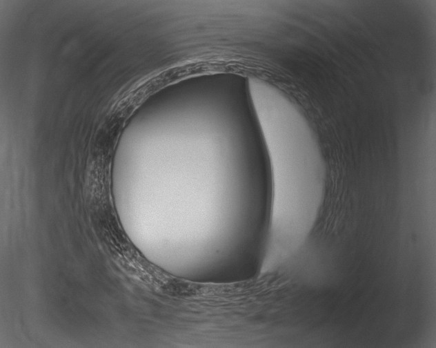 X0000085810773200703161028