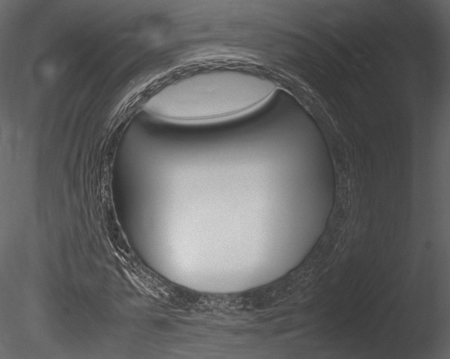 X0000085810775200703161028