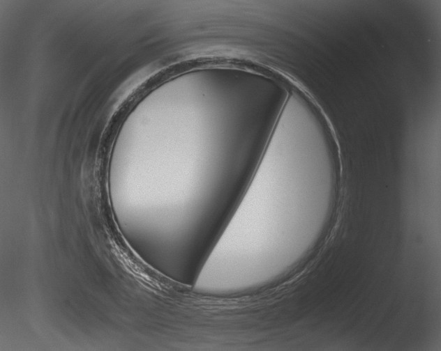 X0000085810783200703161028