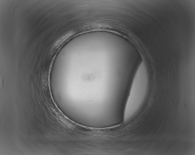 X0000085810785200703161028