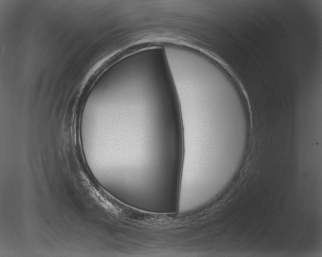 X0000085810791200703161027