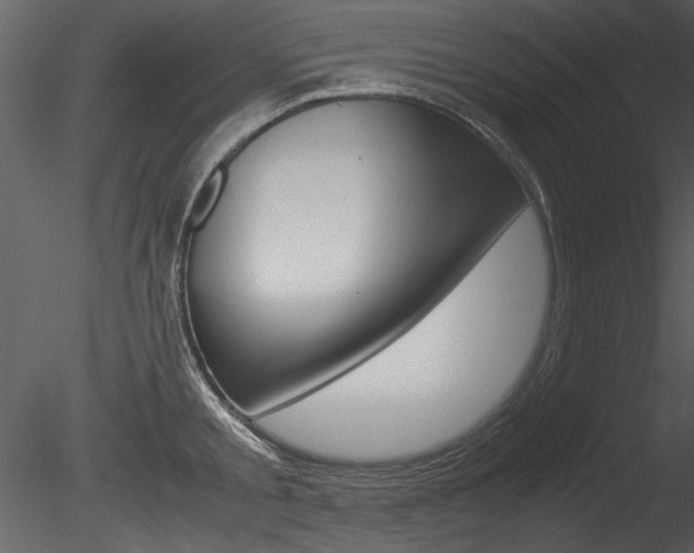 X0000085810805200703161027