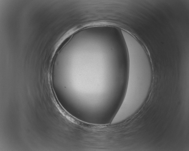 X0000085810813200703161027