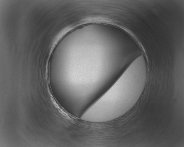X0000085810815200703161027