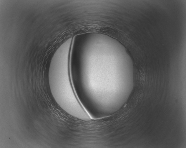 X0000085810818200703161026