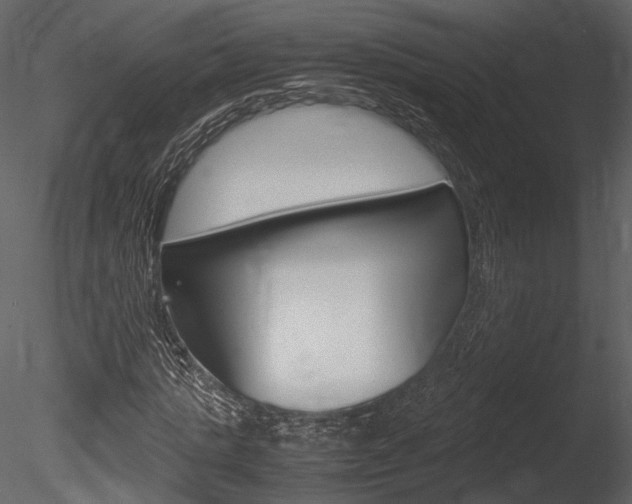 X0000085810821200703161026