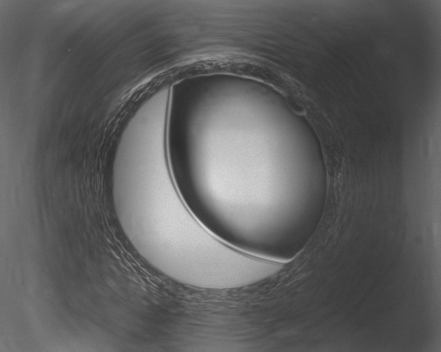 X0000085810822200703161026