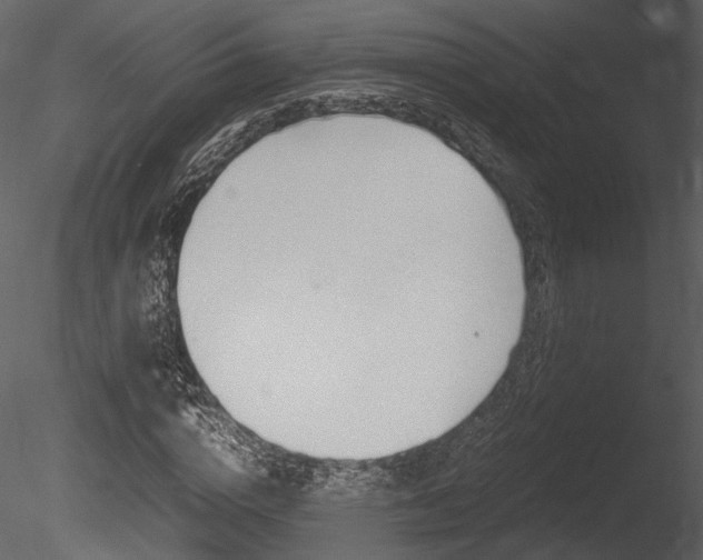 X0000085810824200703161026