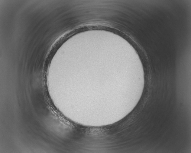 X0000085810832200703161026