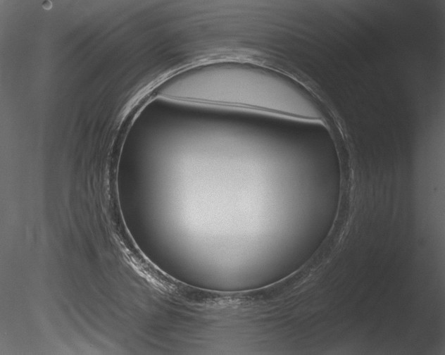 X0000085810834200703161026