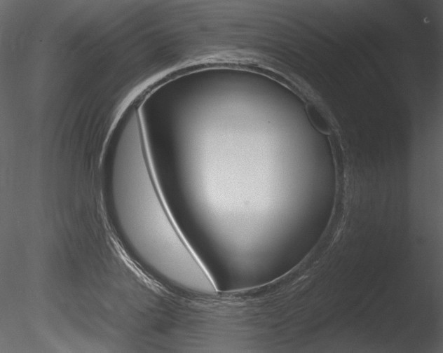 X0000085810838200703161027