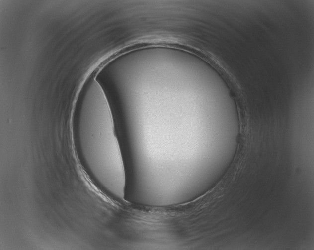 X0000085810840200703161027