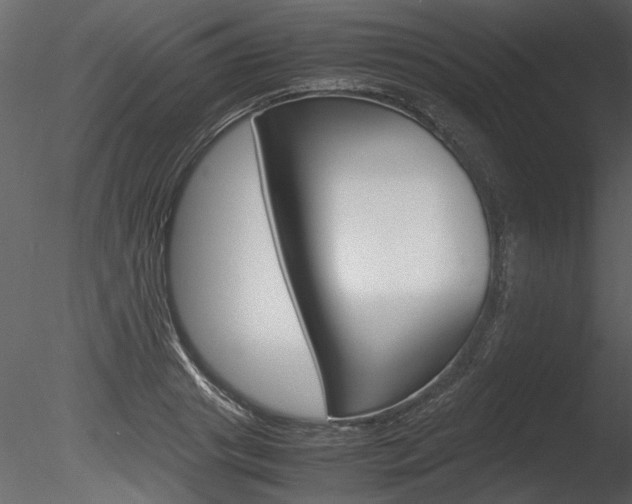 X0000085810841200703161027
