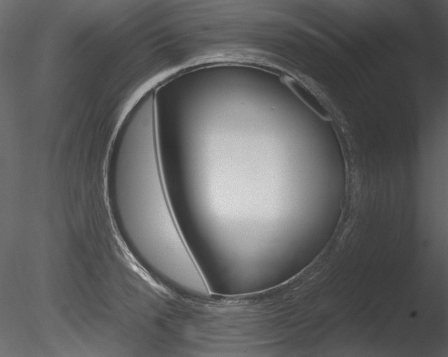 X0000085810846200703161027