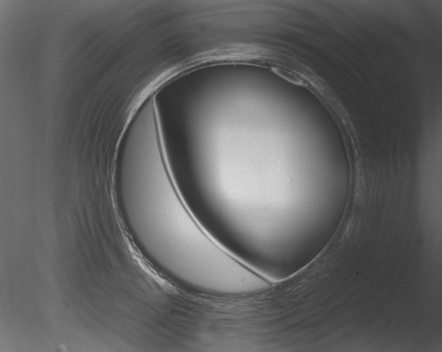 X0000085810850200703161027