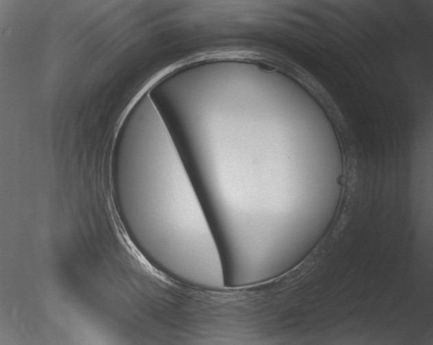 X0000085810852200703161027