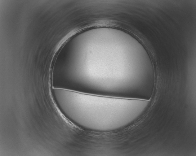 X0000085810853200703161027