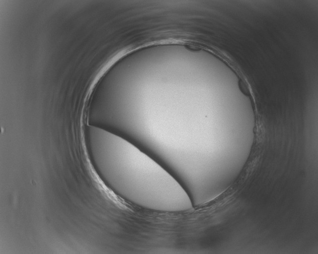 X0000085810859200703161027