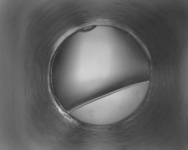 X0000085810861200703161027
