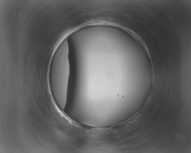 X0000085810863200703161027