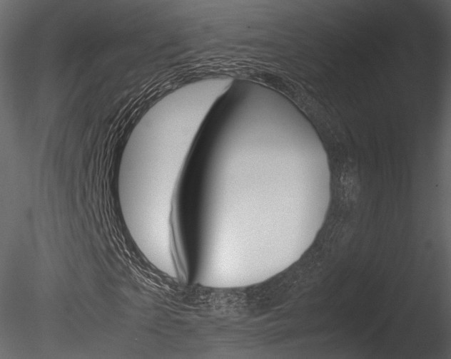 X0000085810865200703161026