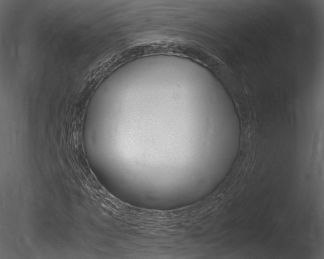 X0000085810869200703161026