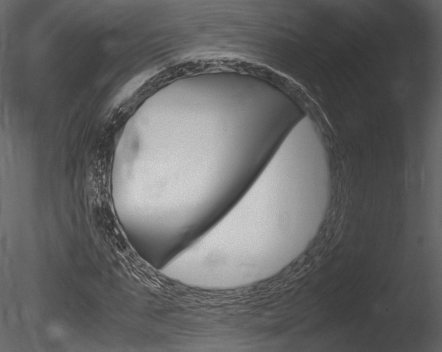 X0000085810871200703161026