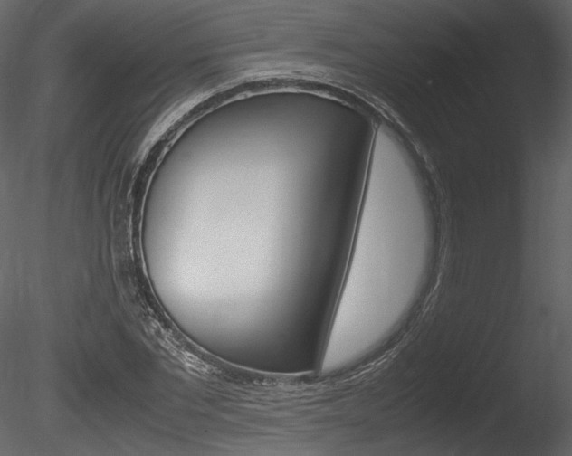 X0000085810877200703161026