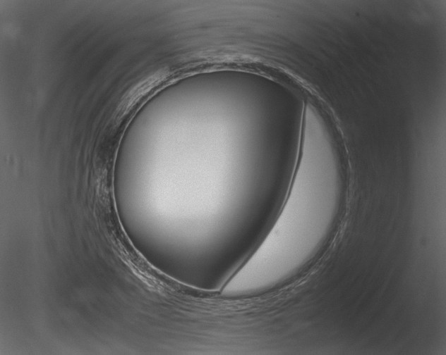 X0000085810881200703161026